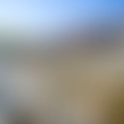 NOUVEAU PLUS GRAND TRIATHLON DE SUISSE : LA 31ÈME ÉDITION DU LA TOUR GENÈVE TRIATHLON BAT TOUS LES RECORDS !